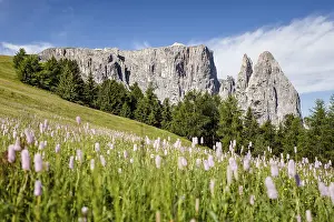 Dolomite Mountains Southern Europe Drucke: Schlern with the Santner and Euringer crags