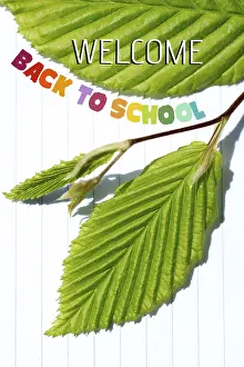 Back To School Image Drucke: Back to school wording as educational concept