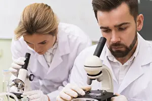 Laboratory Research Drucke: Two scientist colleagues are using microscopes during research work in a laboratory