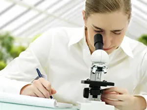 Female Scientist Microscope Drucke: Scientist looking through a microscope in a greenhouse