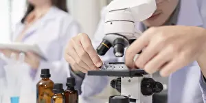 Scientist At Work Drucke: A scientist performs a microbial analysis using a microscope in a laboratory setting