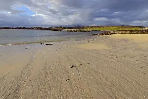 Scottish Coast Drucke: Scottish coast with beach in spring