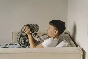 Feliformia Mammal Images Drucke: A Scottish Fold cat interacts with a child on a comfortable sofa