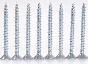 Studio Photography Drucke: Screws in a row