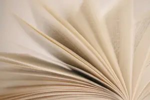 Communication Through Art Drucke: Scrolling in a book
