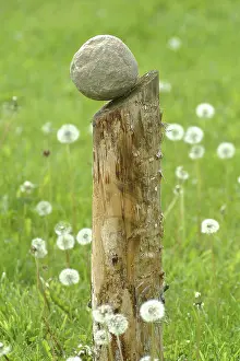 Stone Sculpture Art Drucke: Sculpture