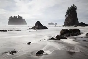 Long Exposure Coastal Photography Drucke: Sea stack on Second Beach in Olympic National Park