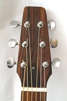 Stringed Instrument Drucke: Seagull guitar