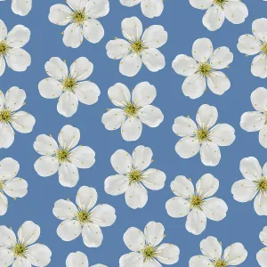 Full Frame Blue Background Image Drucke: Seamless pattern. White cherry flowers on a blue background
