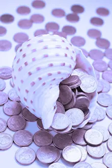 Studio Still Life Photo Drucke: Seashell overflowing with coins