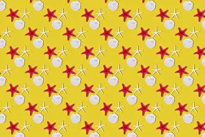 Deserted Beach Wallpaper Drucke: Seashells on yellow background, seamless pattern
