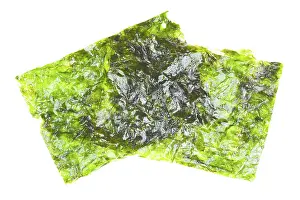 Japanese Seaweed Drucke: Seaweed in sheets