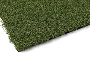 Artificial Turf Grass Drucke: Section of artificial turf grass on white background
