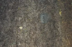 UNESCO World Heritage Site Sweden Drucke: Section of the Vitlycke petroglyphs
