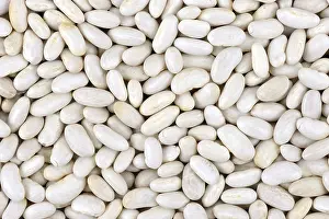 Rural Agriculture Drucke: Seed of white beans close up