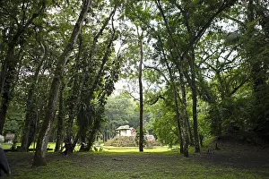 Ancient Maya Cityscape Drucke: Seibal or El Ceibal Archaeological Site