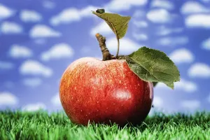 Deserted Lawn Scene Drucke: Red apple