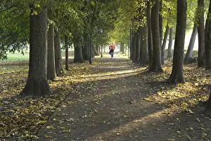 Bilder Datiert 25. September 2024: Ein ruhiger Pfad, der mit hohen Bäumen gesäumt ist.