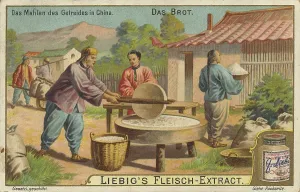 Digitally Restored Painting Reproduction Drucke: Series The bread, traditional grain processing in China using a millstone
