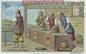 Historical Agricultural Scene Drucke: Series The Tea, the Drying of Tea