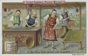 Traditional Tea Cultivation Drucke: Series The tea, the tea is rolled and cooled