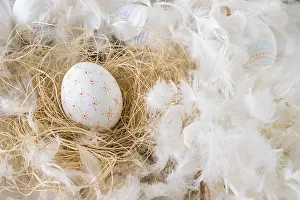 Traditional Easter Setting Drucke: Set easter eggs hay heap feathers