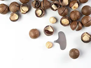 White Studio Background Food Images Drucke: Set of macadamia nuts and nut cracker sheller on white background
