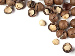 Flat Lay Photography Drucke: Set of macadamia nuts on white background
