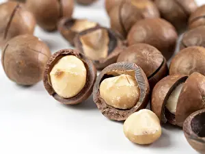 Studio Shot Drucke: Set of macadamia nuts on white background with copy space