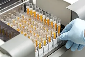 Scientific Research Equipment Drucke: Set of Test tubes in the laboratory