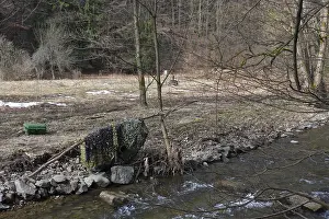 Central European Wilderness Drucke: Setting up a camouflage hideout by a mountain stream