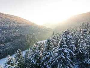Evening Atmosphere In Southern Germany Drucke: The setting sun behind a snow-covered mountain forest