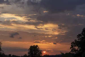 German Evening Sky Drucke: Setting sun with tree silhouettes