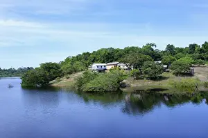 South American Wilderness Scene Drucke: Settlement along an Amazon tributary