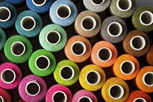Multicolored Threads Drucke: Sewing threads multicolored background closeup