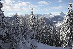 South Tyrol Landscape Drucke: Shadow - Light