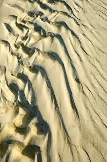 Daytime Desert Scene Drucke: Shadow patterns in the sand