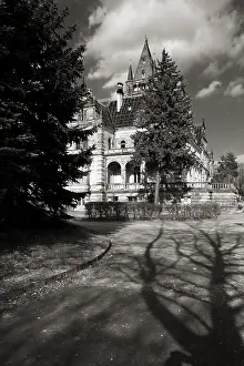 Black And White Landscape Photography Drucke: Shadow of a tree in front of Hummelshain Castle in the late afternoon