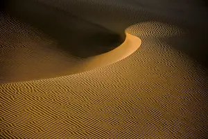 Dry Desert Landscapes Drucke: Shapes, structures and patterns