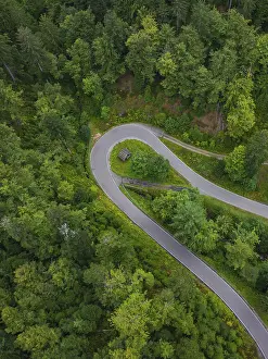 Black Forest Road Drucke: Sharp bend in a road surrounded by dense forest