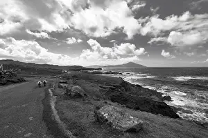 Wild Atlantic Way Coastline Drucke: Two sheep walking on panoramic Atlantic Drive