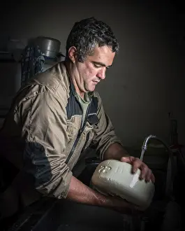 Sheep Cheese Making Drucke: Sheep's cheese making