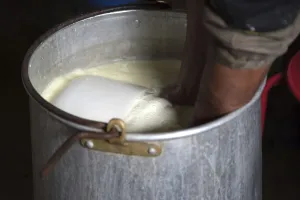 Pyrenees Atlantiques 64 Drucke: Sheep's cheese making
