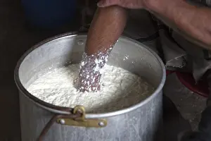 Domestic Sheep Farming Drucke: Sheep's cheese making
