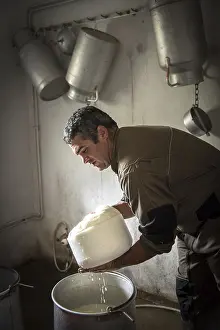 Sheep Cheese Making Drucke: Sheep's cheese making