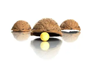 Studio Shot Cutout Drucke: Shell game