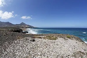 Muschel Drucke: Schuttkegel von Playa de Cofete