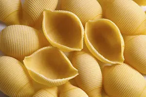 Raw Food Nutrition Facts Drucke: Shell noodles, egg-based pasta
