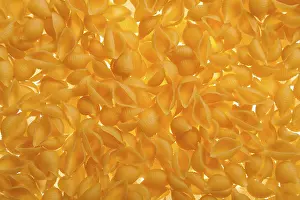 Food Photography Backgrounds Drucke: Shell shaped spaghetti background