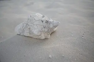 Muschel Drucke: Schalen auf der Strand, Kuba.
